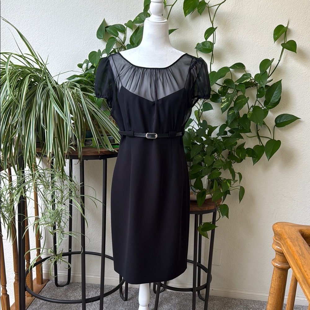 Calvin Klein Black Sheer Sleeve Dress